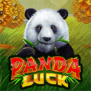 Chú Gấu May Mắn game thumbnail